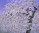 50 photo50_small.jpg